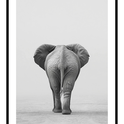 African elephant (b) art print
