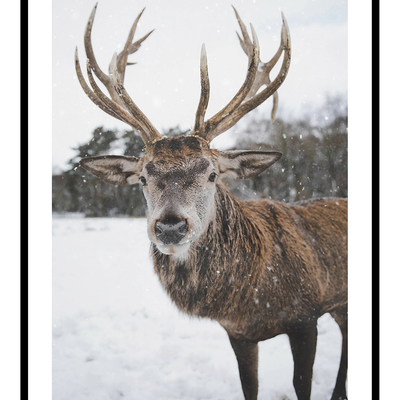 Nordic stag art print