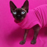 Raised Lines (Pink)  - Thumbnail 2