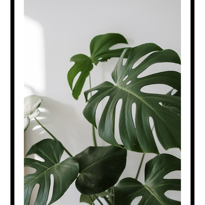 Banana plant art print