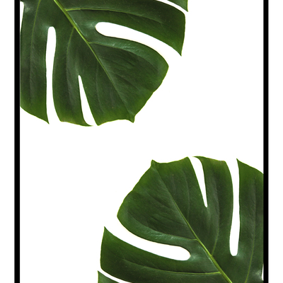 Palm leaves art print