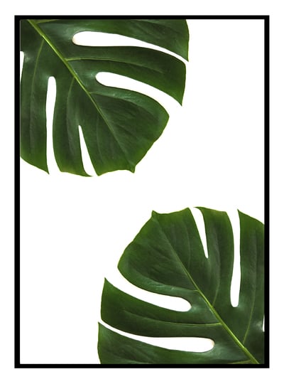 Palm Leaves Art Print