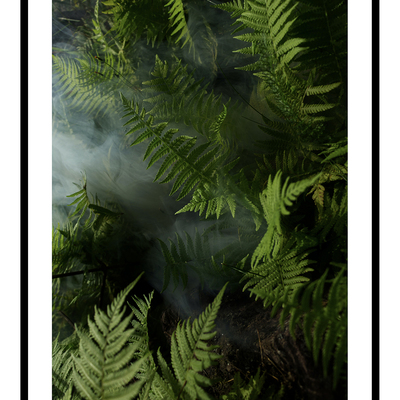 Jungle leaves art print