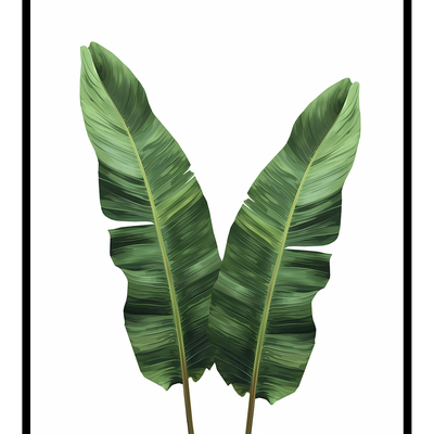 Strelitzia leaves art print - Thumbnail 3