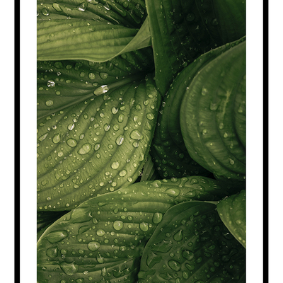 Raindrops art print - Thumbnail 3
