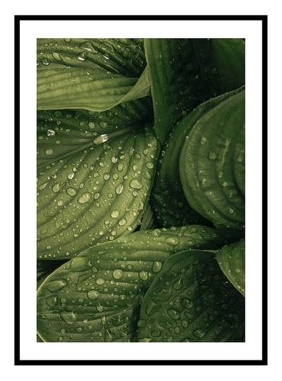 Raindrops Art Print