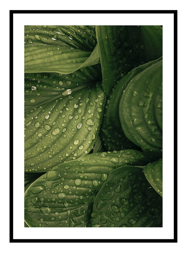 Raindrops Art Print