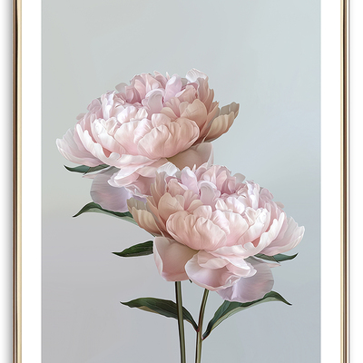 Baby pink peonies art print