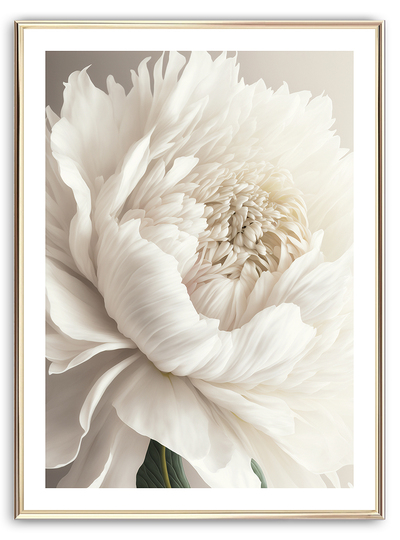 White Flower Art Print