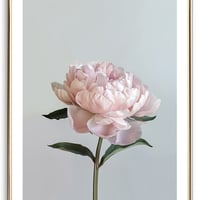 Pink Peony Art Print - Thumbnail 1