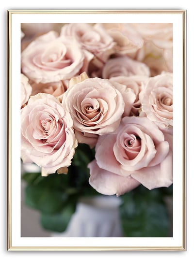 Rose Bloom Art Print