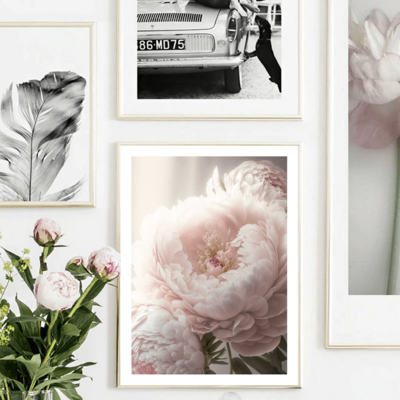 Pink peony art print