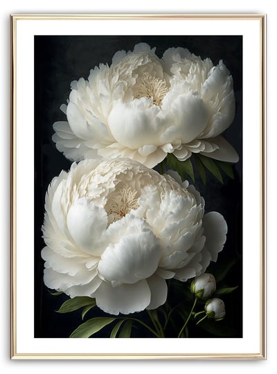 White Peony Flower Art Print