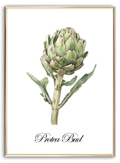 Protea Bud Art Print