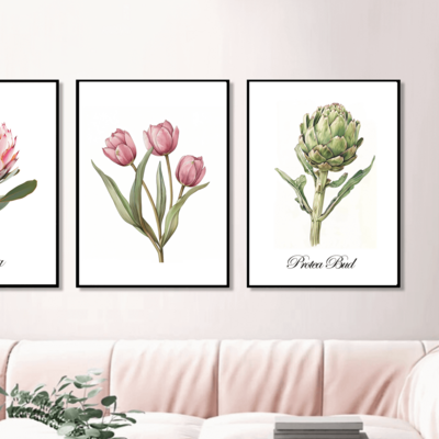 Protea bud art print