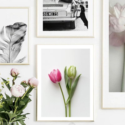 Fresh tulips art print