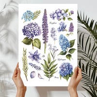 Garden Flowers Art Print (B) - Thumbnail 1