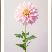 Pink Dahlia in Bloom Art Print - Thumbnail 2
