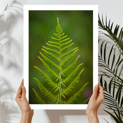 Fern leaf art print