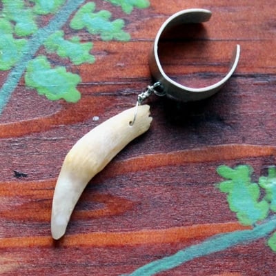 Real single american opossum tooth on silver-plated brass ear cuff