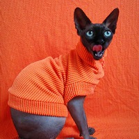 Raised Lines (Orange)  - Thumbnail 2