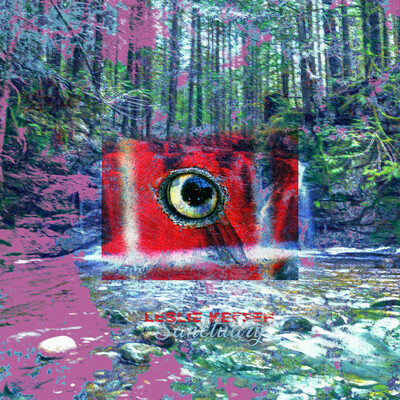 Leslie keffer 'sanctuary' c-50