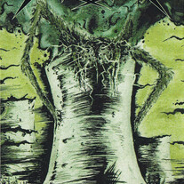 Radiation (Svk) – Reactor Collapse