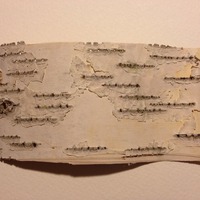 Moss Clump - Thumbnail 2