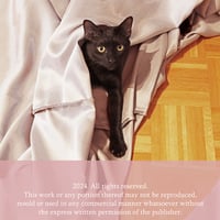 Royal Wardrobe of a Cosplayer PDF - Thumbnail 1