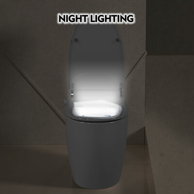 Heated seat smart toilet - one-piece automatic flush tankless with foot sensor & night light