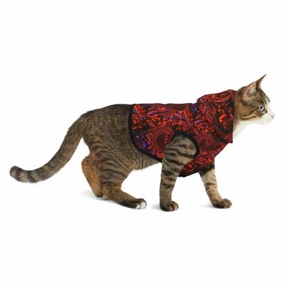 Groovy cat hoodie- red