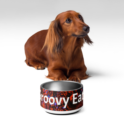 Groovy dog bowl
