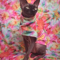 Superbloom - Thumbnail 1