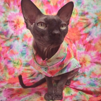 Superbloom - Thumbnail 2