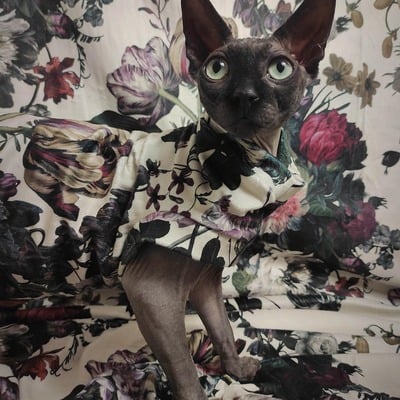 Easter arrangement - velvet