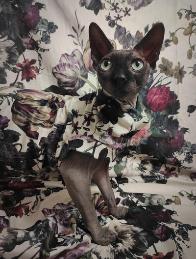 Easter Arrangement - Velvet