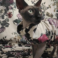 Easter Arrangement - Velvet - Thumbnail 1