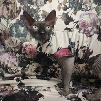 Easter Arrangement - Velvet - Thumbnail 2