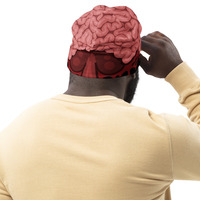 Brain full - Thumbnail 5