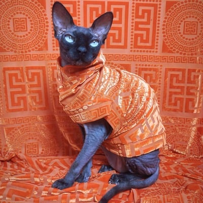 Orangesace - velvet lace