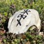 Partial Skull with Odin Bindrune -2