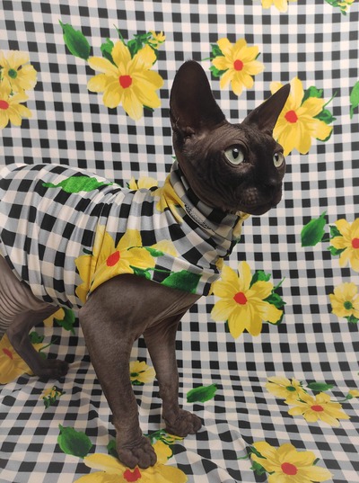 Spring Picnic - Sleepwear