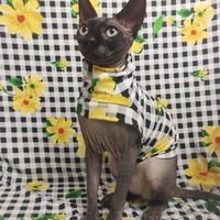 Spring Picnic - Sleepwear - Thumbnail 1