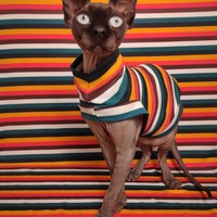 Spring Ahead - Sleepwear - Thumbnail 1