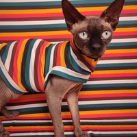 Spring Ahead - Sleepwear - Thumbnail 2