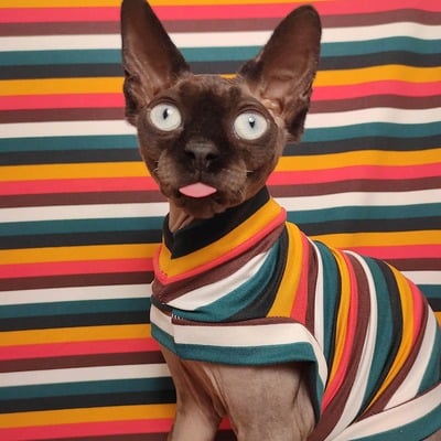 Spring ahead - sleepwear