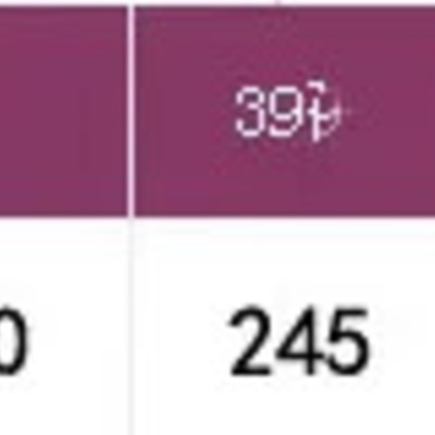  shoes for the old women's thickened velvet warm cotton shoes leather surface walking shoes non-slip