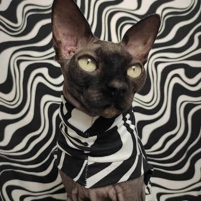 Wavy (big) - sleepwear