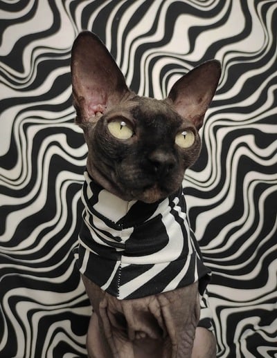 Wavy (Big) - Sleepwear