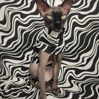 Wavy (Big) - Sleepwear - Thumbnail 1